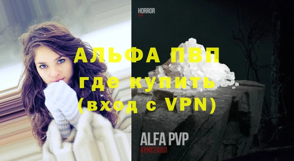 индика Богданович