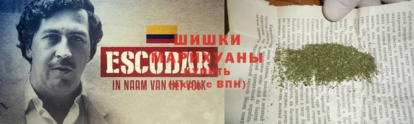 индика Богданович