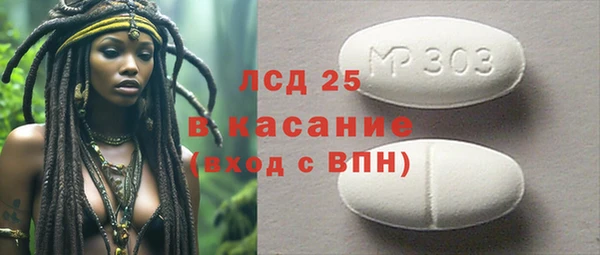 индика Богданович