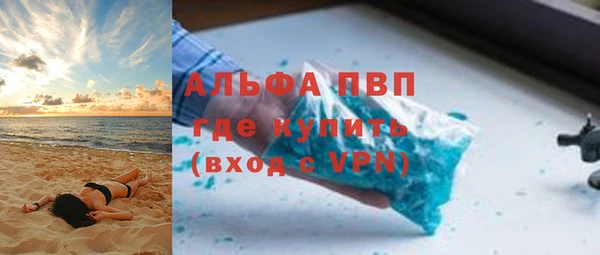 индика Богданович