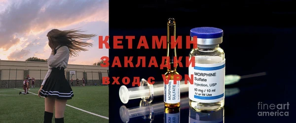 индика Богданович