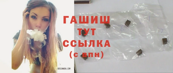 индика Богданович