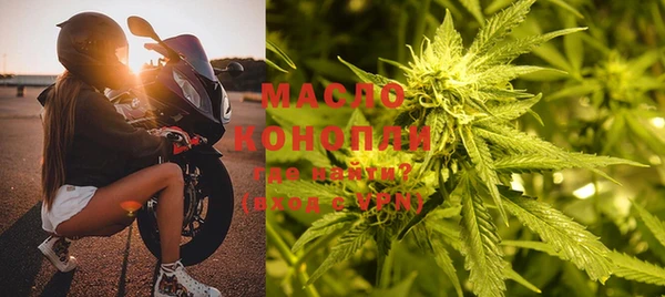 индика Богданович