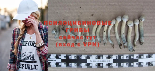 индика Богданович