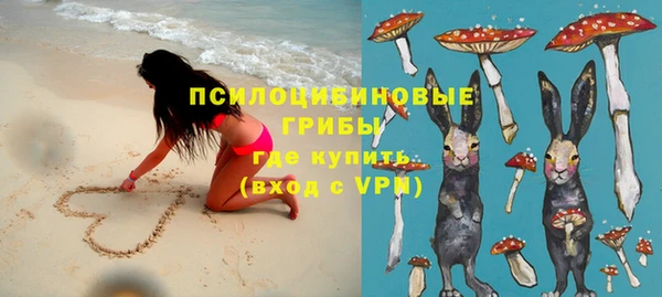 индика Богданович