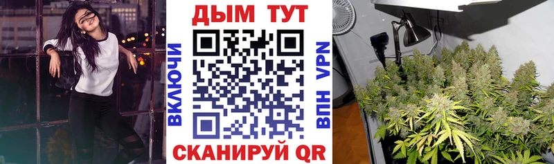 Каннабис MAZAR  Городище 